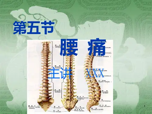五腰痛PPT课件