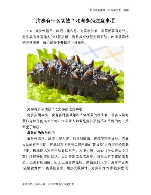 海参有什么功效？吃海参的注意事项