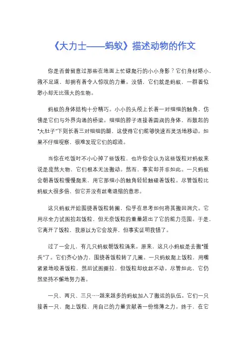《大力士——蚂蚁》描述动物的作文