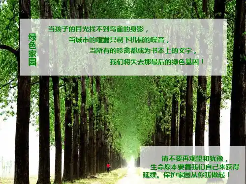 新能源汽车项目策划书(商务定版)ppt课件