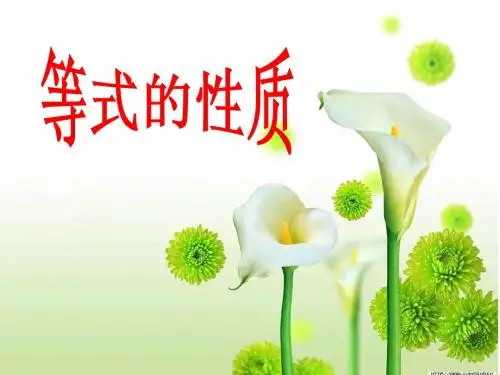 3.1.2_等式的性质课件