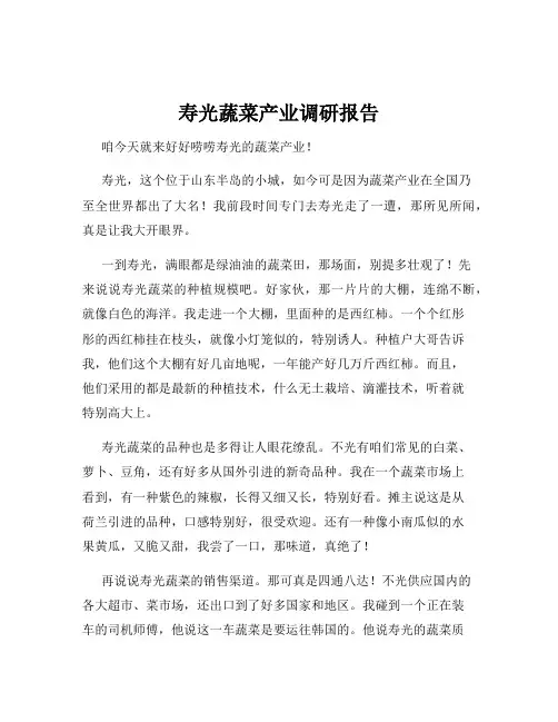 寿光蔬菜产业调研报告