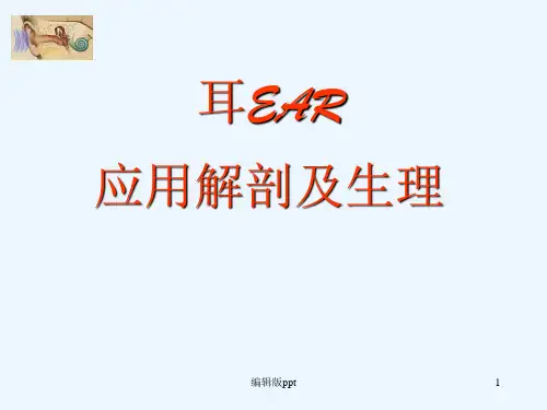 耳的应用解剖ppt课件