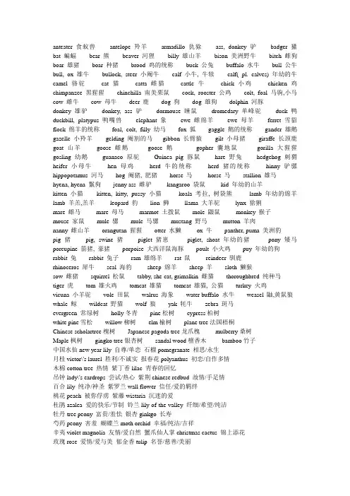 英语动物名称大全