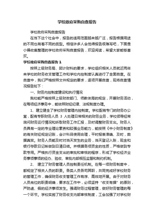 学校政府采购自查报告