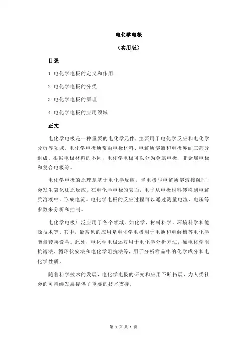 电化学电极