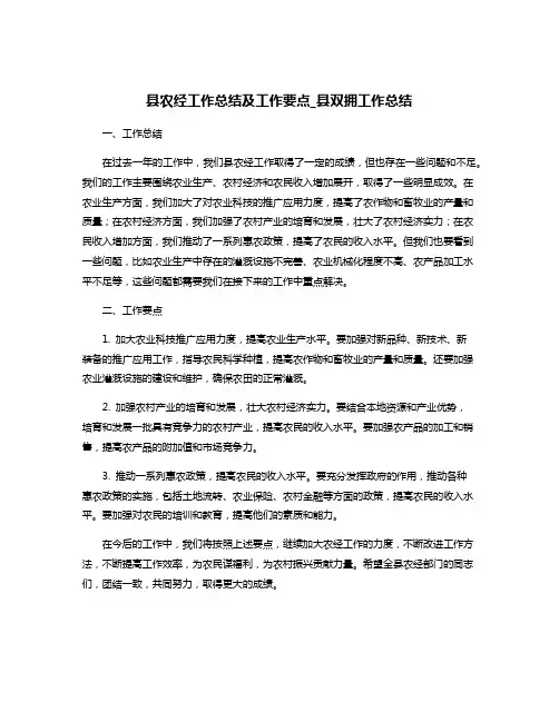 县农经工作总结及工作要点_县双拥工作总结