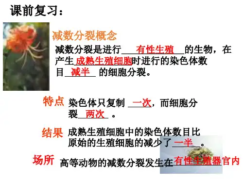 减数分裂过程中染色体染色单体DNA数目变化