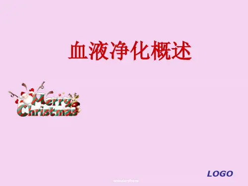 血液净化概述ppt课件