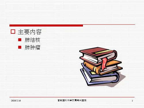 影像- 肺结核 肺癌PPT