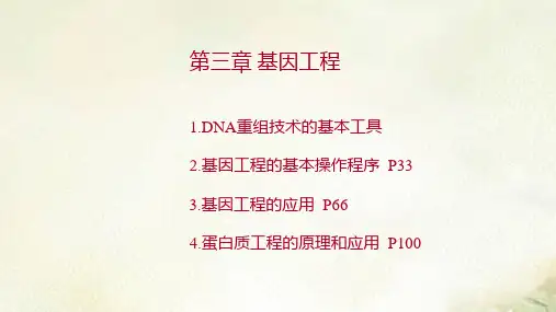 新教材人教版高中生物选择性必修3生物技术与工程第三章基因工程 习题课件