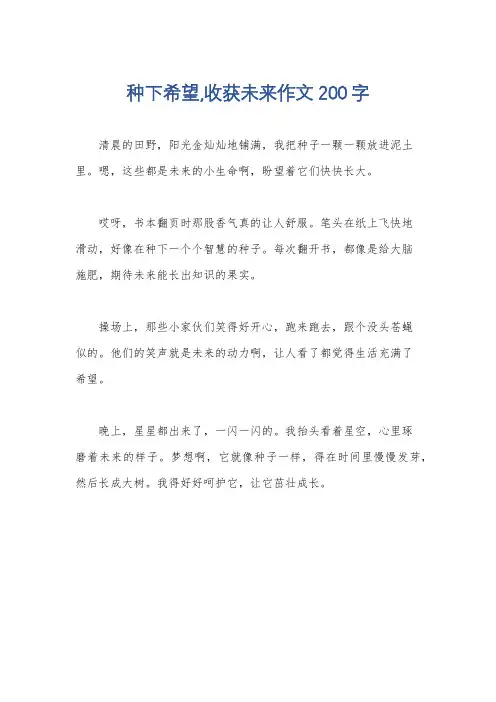 种下希望,收获未来作文200字