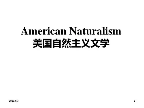 美国文学-American-Naturalism