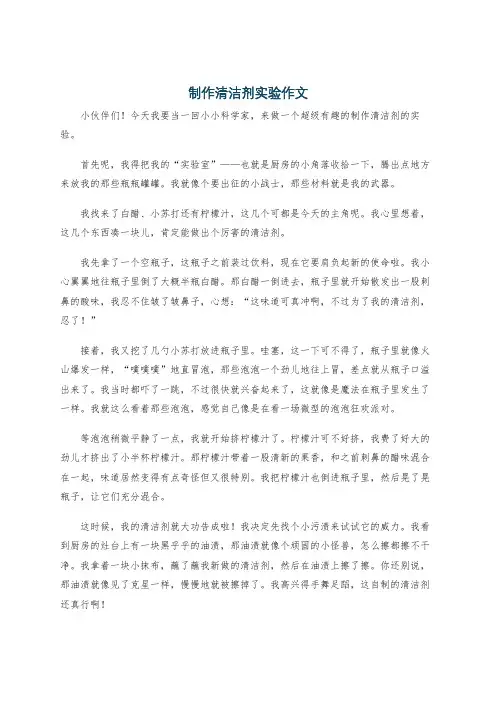 制作清洁剂实验作文