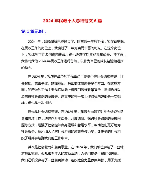2024年民政个人总结范文6篇