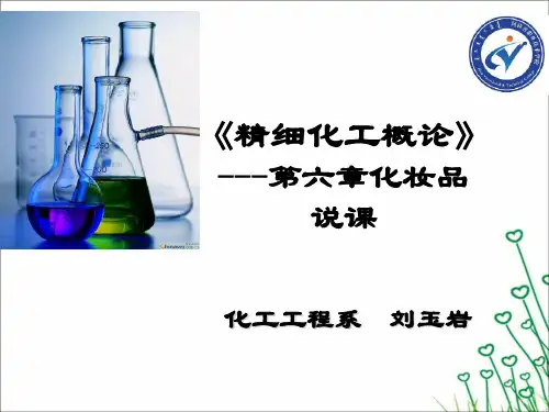 《精细化工概论》说课