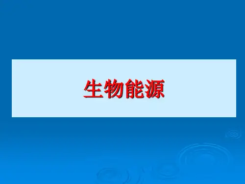【高中化学】生物能源ppt