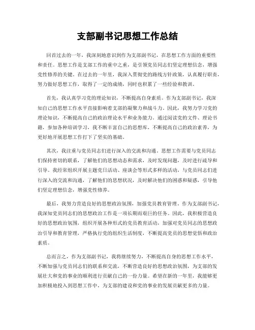 支部副书记思想工作总结