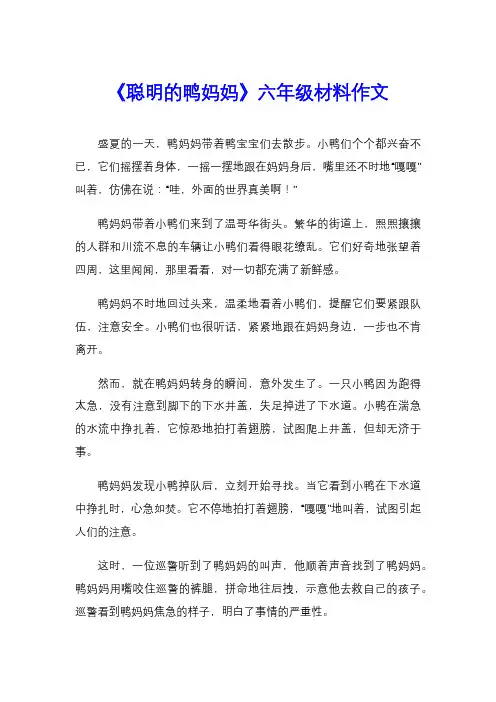《聪明的鸭妈妈》六年级材料作文