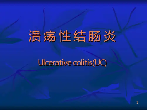 溃疡性结肠炎PPT课件