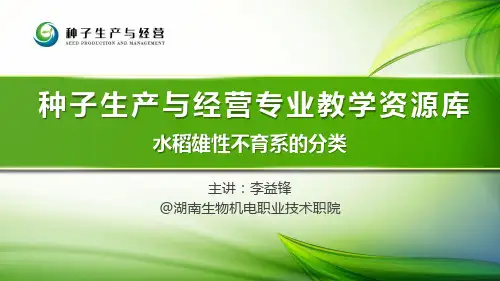 33-水稻雄性不育系的分类