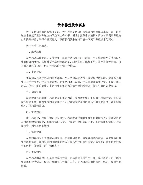 黄牛养殖技术要点