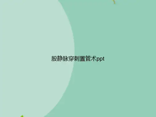 股静脉穿刺置管术(“穿刺”相关文档)共19张