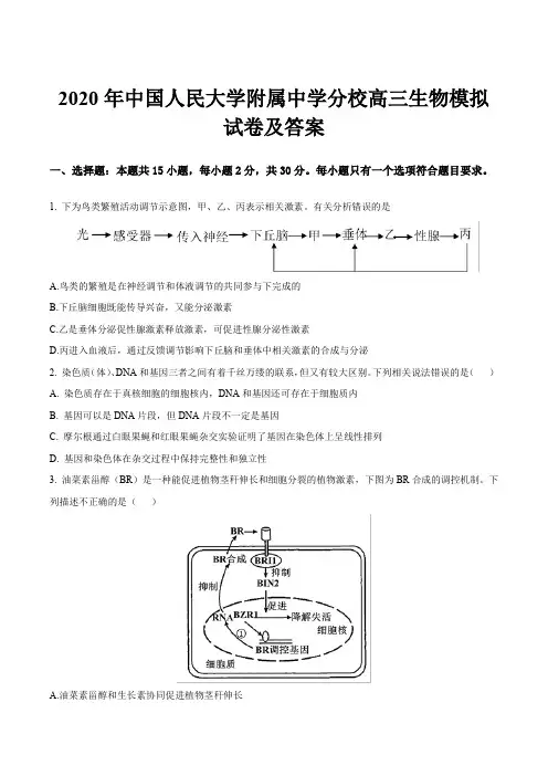 2020年中国人民大学附属中学分校高三生物模拟试卷及答案