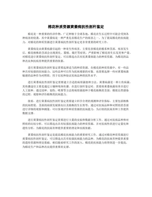棉花种质资源黄萎病抗性剖秆鉴定