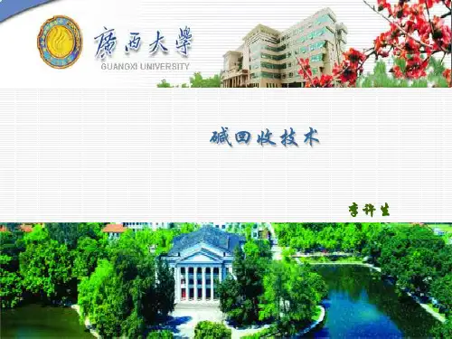 碱回收技术