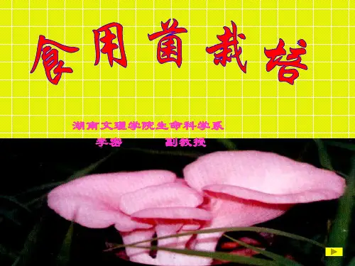 第1章 食用菌的形态与分类
