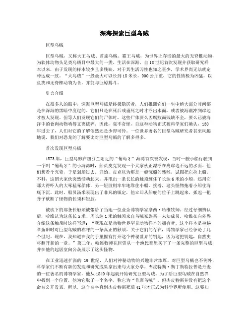 深海探索巨型乌贼