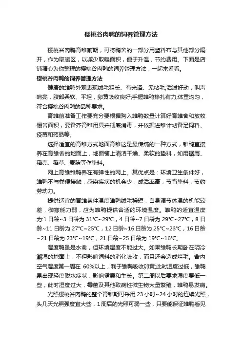 樱桃谷肉鸭的饲养管理方法