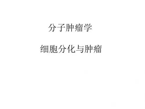 细胞分化概念