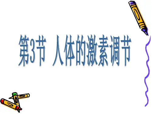 第2节人体的激素调节PPT课件(初中科学)