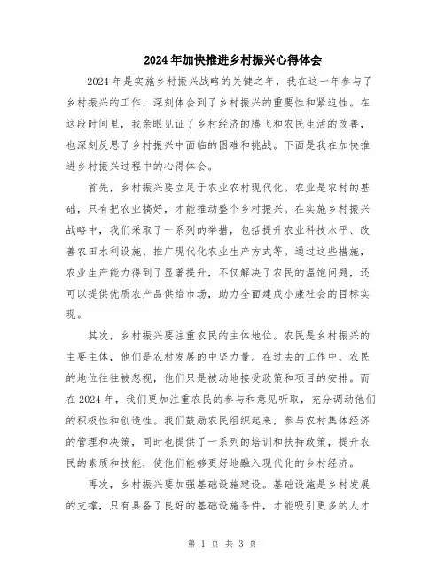2024年加快推进乡村振兴心得体会