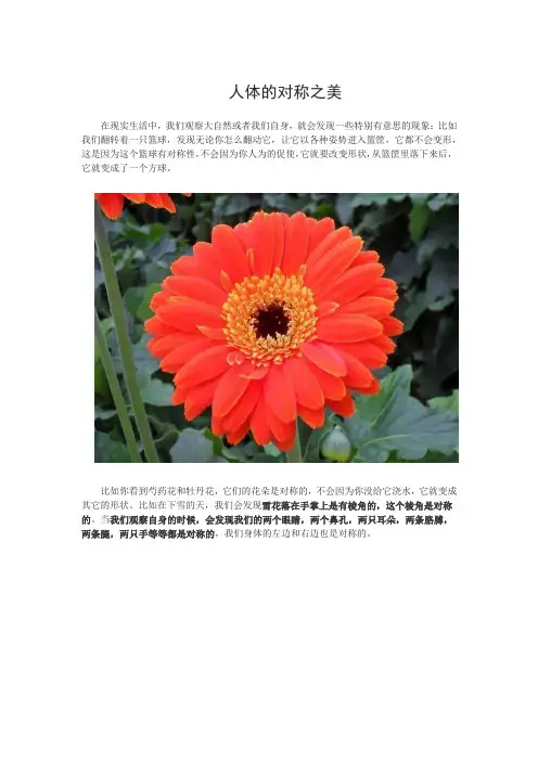 人体的对称之美