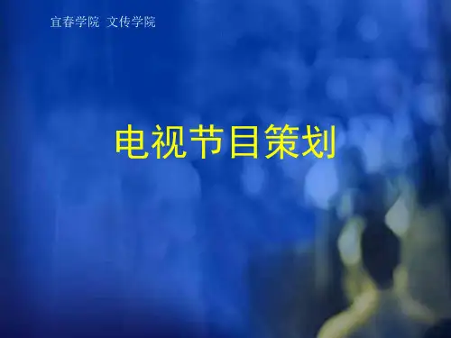 电视节目栏目策划-PPT课件
