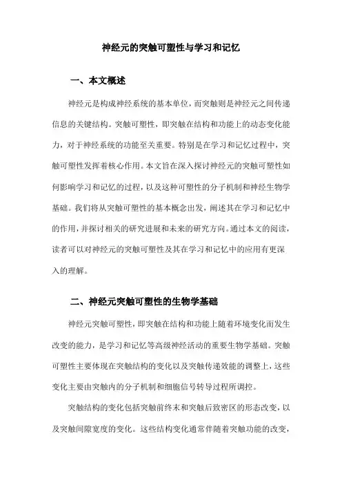 神经元的突触可塑性与学习和记忆