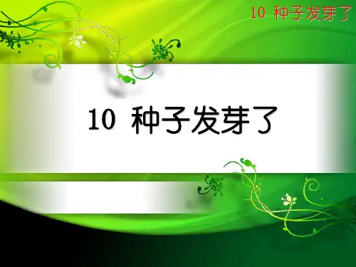 青岛版六三制五年级下册科学 《10 种子发芽了》课件2