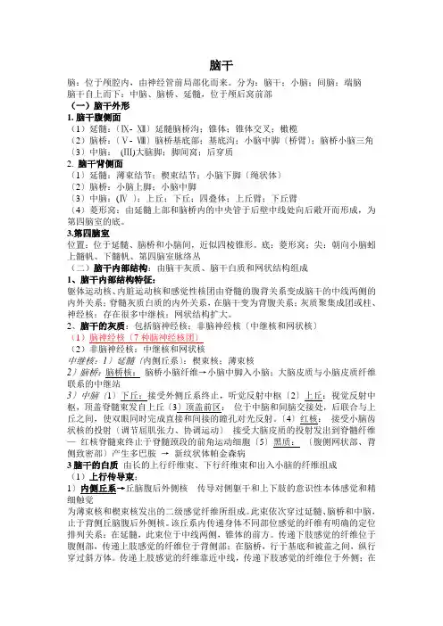 系统解剖学——中枢神经系统——脑干 期末复习重点