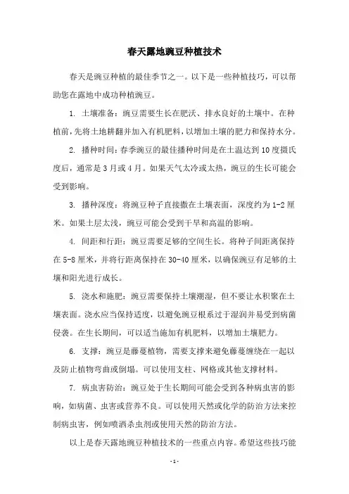 春天露地豌豆种植技术