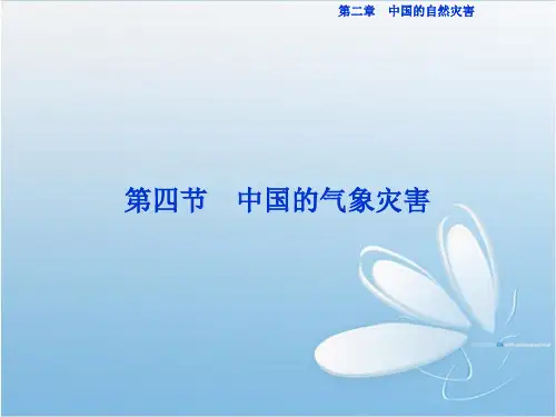 高一地理 中国的自然灾害 ppt课件4