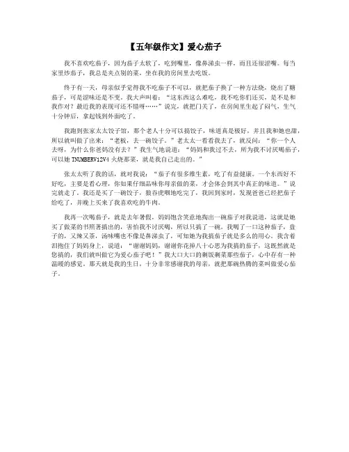 【五年级作文】爱心茄子