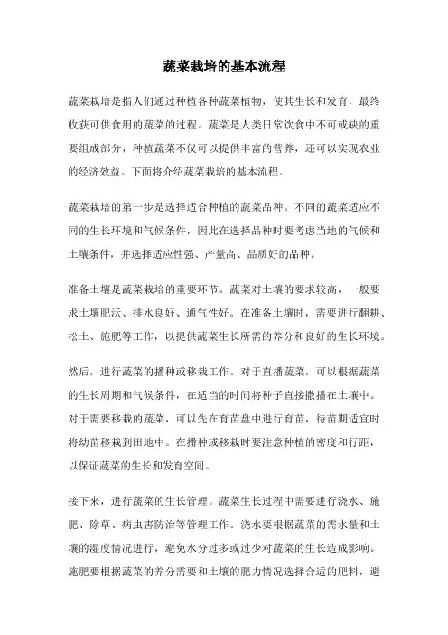 蔬菜栽培的基本流程