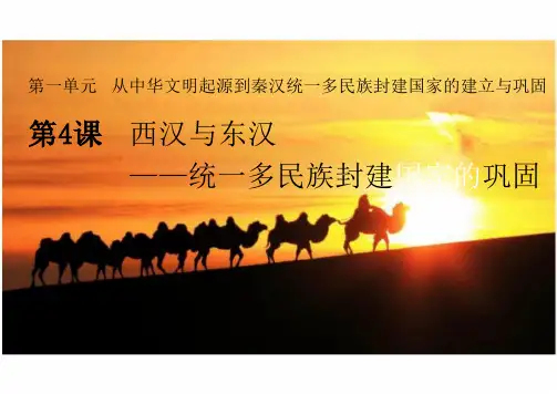 第4课+西汉与东汉——统一多民族封建国家的巩固+课件--高一上学期统编版必修中外历史纲要上册