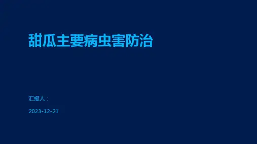 甜瓜主要病虫害防治