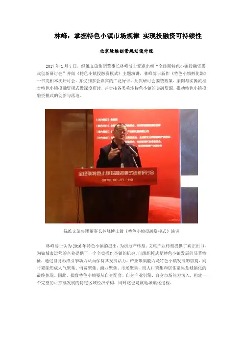林峰：掌握特色小镇市场规律 实现投融资可持续性