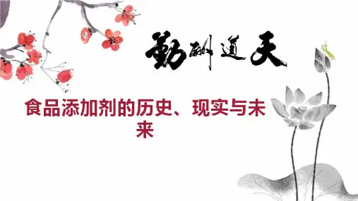 食品添加剂的历史、现实与未来