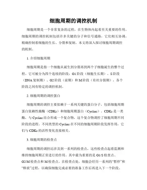 细胞周期的调控机制